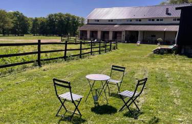 Gîte à la campagne Les Grandes Maisons Espace jacuzzi hammam SPA - Photo 33
