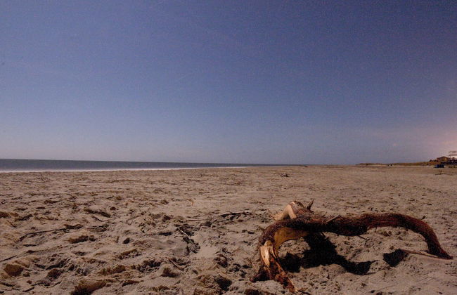 Desoto Beach Terraces - Foto 27