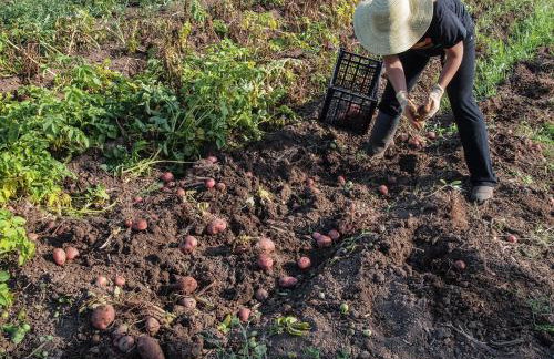 CR La Bohemia - Foto 28