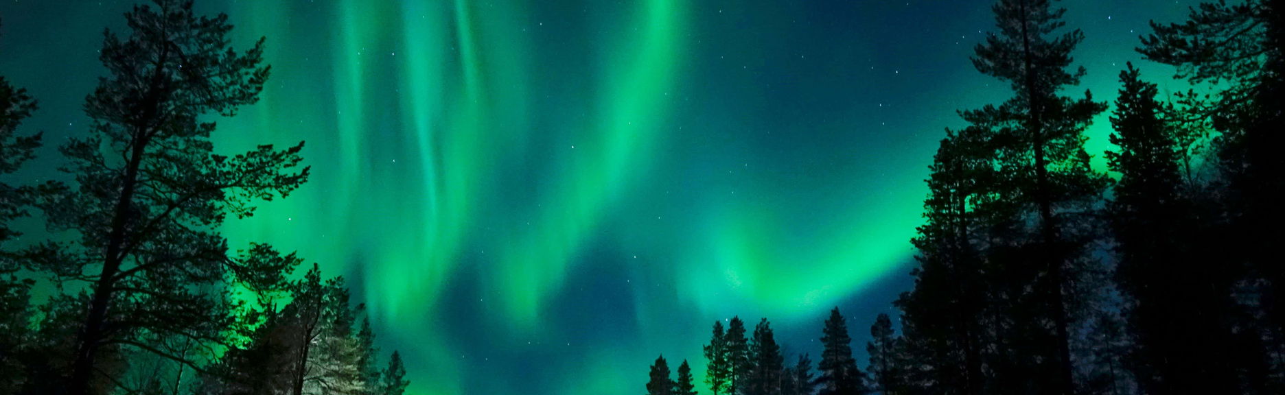 Giro in slitta trainata dagli husky sotto l'aurora boreale