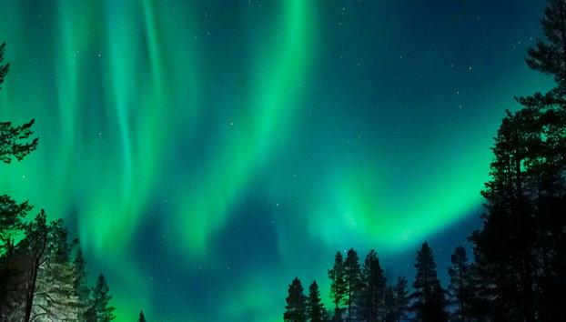 Paseo en trineo de perros husky bajo la aurora boreal - Foto 3, Paseo en trineo de perros husky bajo la aurora boreal
