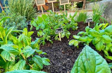 Villa provençale, Golfe Saint Tropez, Climatisée 12 pers, 4 suites, Piscine chauffée, Hammam, Spa, Billard, Pétanque, Wifi professionnel haut débit - Foto 27