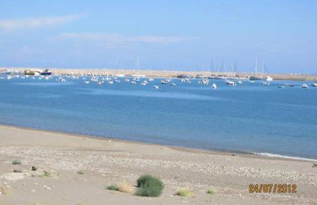 Ambra di mare - Foto 25