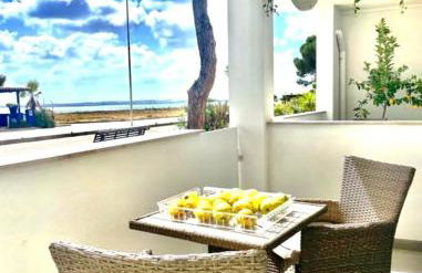 Windsurf Beach Front - Photo 8