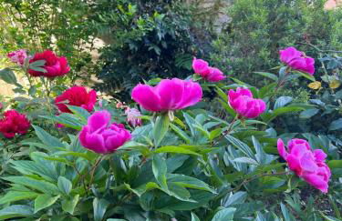 Jolie maison 10 minutes Paris familles et groupes - Foto 18