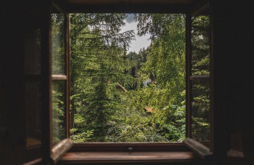 AŻ POD LAS - Foto 22