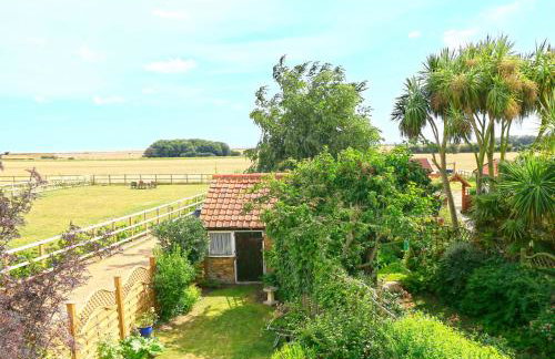 Hollyhocks - Photo 3