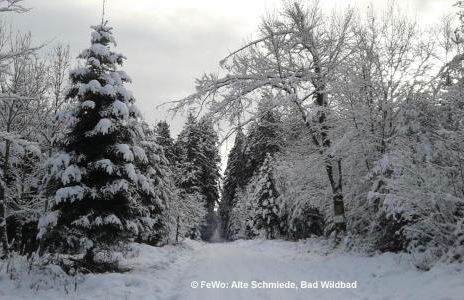 Alte Schmiede - Foto 30