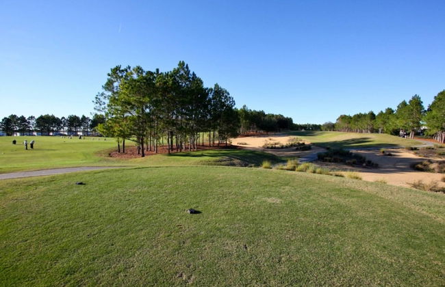 446 Highlands Reserve - Foto 48