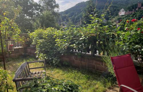 Panorama-Blick Miltenberg, 3 Pers., zentr., am Main, Terrasse, Bootverleih, P - Foto 21