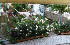 Royal's Studios - Photo 30