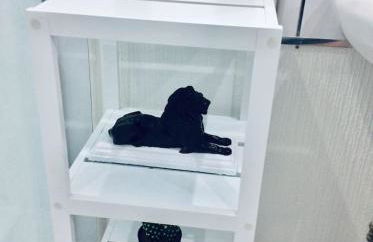 THE LION'S DEN ON ROYAL STREET - Foto 33