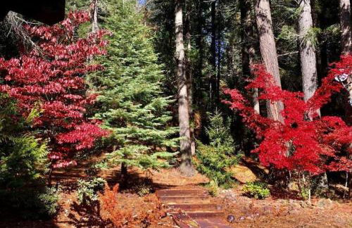 Lakefront Chalet Nevada City - Foto 4