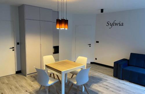 Słoneczne Apartamenty - Foto 21