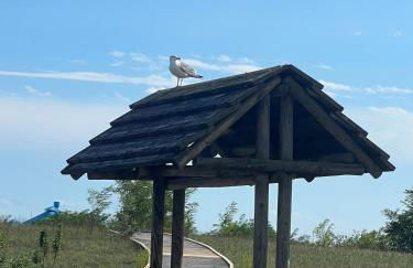 Sogno di mare - Foto 19