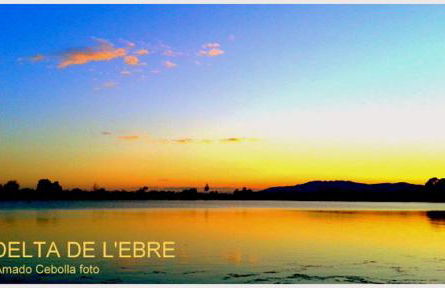 Lo Raconet - Foto 22