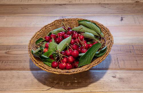 Agr. Cascina Fabbrica - Photo 29