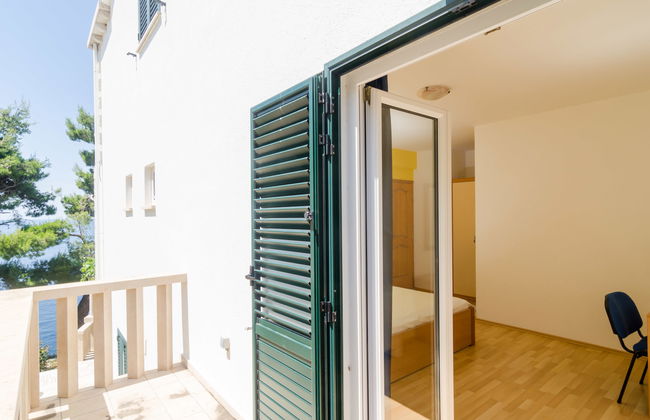 Plavac Mali - Photo 15