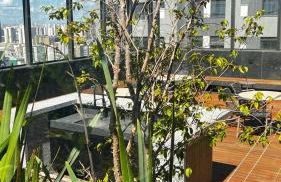 Studio Aconchegante Em Perdizes - Foto 17