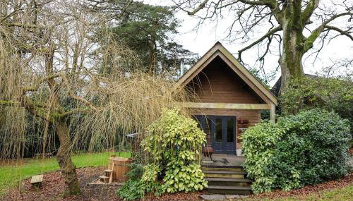 The Beech Hut, Wood Fired Hot Tub, St Kew Escapes - Foto 2