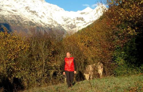 Casas de Zapatierno - Photo 32