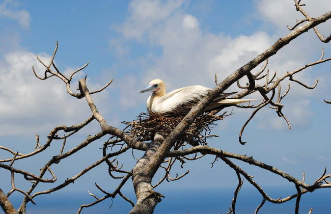 Capim Açu + Leão Beach Hiking Tour - Photo 8