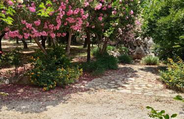 Alegria house with gardens near portoheli - Foto 76