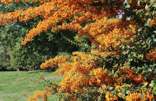 Manoir de Brillac - Luxury East Wing Gîte - Photo 25