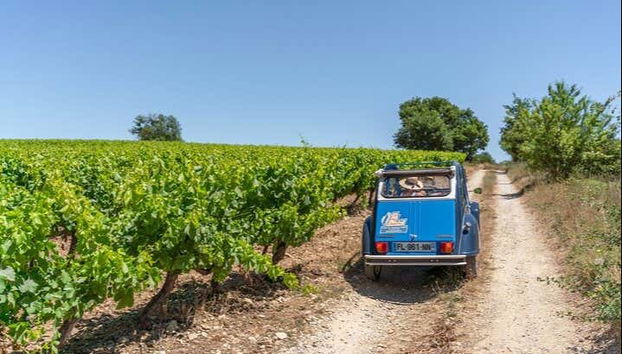 Tour in La Bastide-des-Jourdans - Foto 4