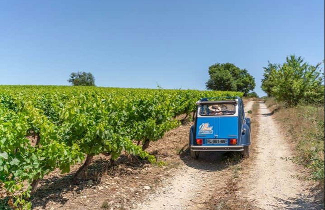 Tour in La Bastide-des-Jourdans - Foto 4