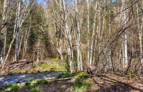Neal Creek Retreat - Foto 42