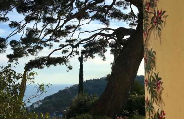 Uliveto Saglietto Agriturismo a Poggi Apartments - Foto 133