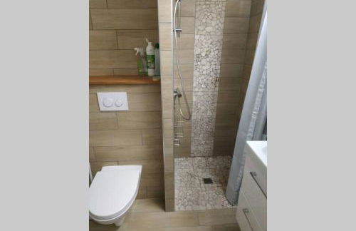 Appartement refait à neuf ski pied des pistes à Val louron - Foto 11