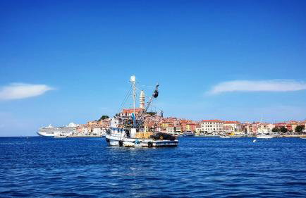 Comfort Apartment Smokva - Foto 32