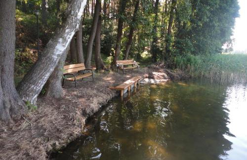 Ośrodek Wypoczynkowy Jaszczurka - Foto 38