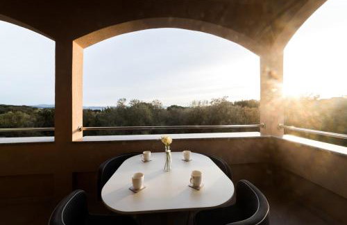 Agava - Photo 41
