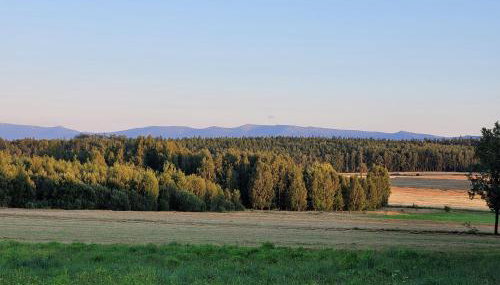 Na końcu dróżki - Foto 3