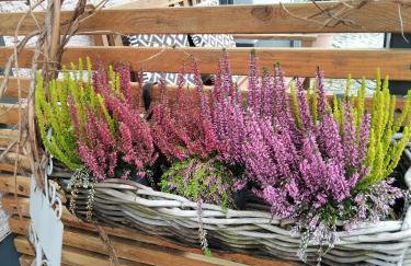 Forest Hill Travel &Work Nettes Apartment mit privatem Eingang Birkenau Mannheim Weinheim Heidelberg - Foto 8