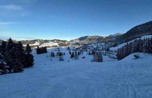 AlpinLounge Scheidegg - Studio mit Wellness und Bergblick - Foto 22