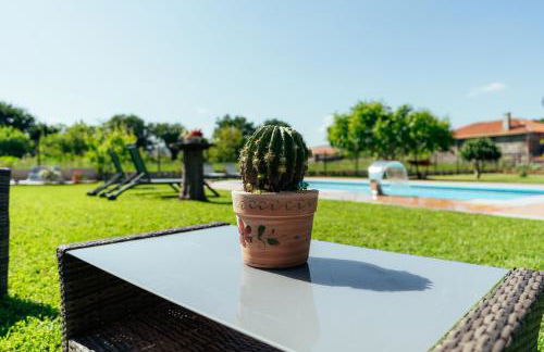 Os Migueliños - Foto 52