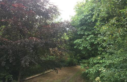 Wild Coastal Retreat at Troed Y Rhiw Aberporth, West Wales - Foto 48