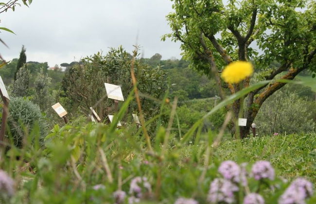 Agriturismo L'Antica Sosta - Foto 27