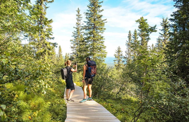 12 Person Holiday Home in Idre-by Traum - Foto 3