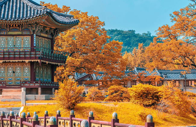 Tour completo por Seul com ingressos - Foto 1