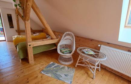 Ostoja Leśna Cisza - Foto 20