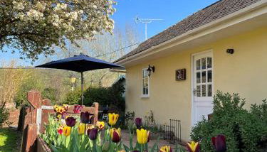 Bow Cottage - Photo 4