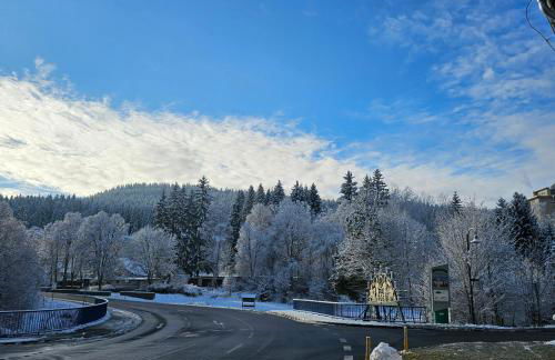Grünhäuschen im Erzgebirge, 620 m üdM - Foto 25