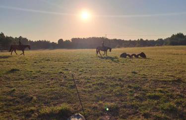 Stajnia Małszewo - Photo 25