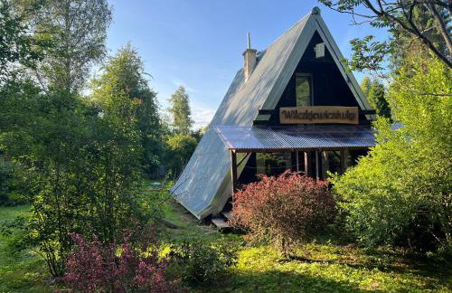 Wilczkiewiczówka - Bieszczadzki Azyl - Photo 1