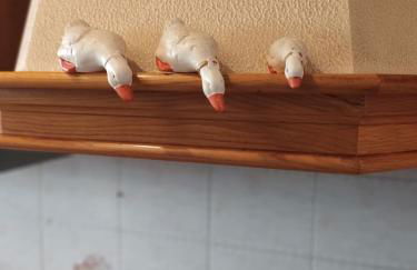 Villetta Gina a San Giuseppe - Lido di Pomposa - Foto 24